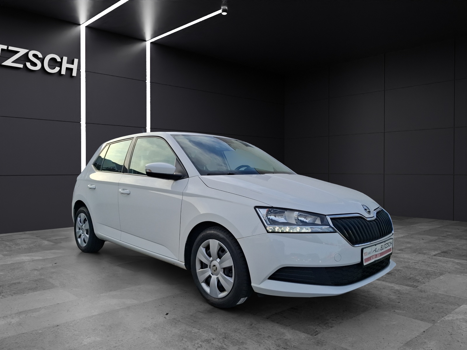 Fahrzeugabbildung SKODA Fabia 1.0 Active Cool-Plus Klima DAB PDC SH