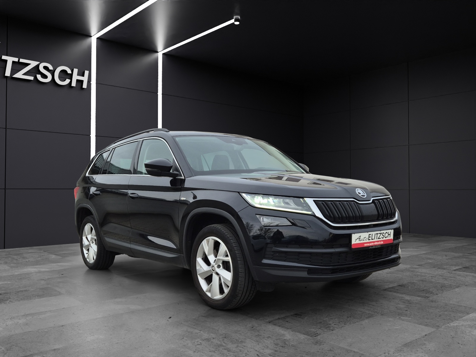 Fahrzeugabbildung SKODA Kodiaq TSI Soleil DSG 4x4 Standhzg. Navi ACC RFK SH 19