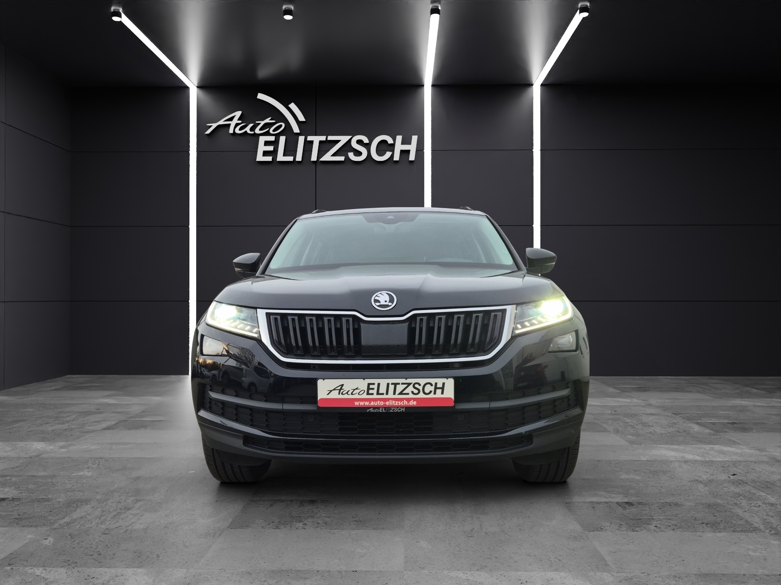 Fahrzeugabbildung SKODA Kodiaq TSI Soleil DSG 4x4 Standhzg. Navi ACC RFK SH 19