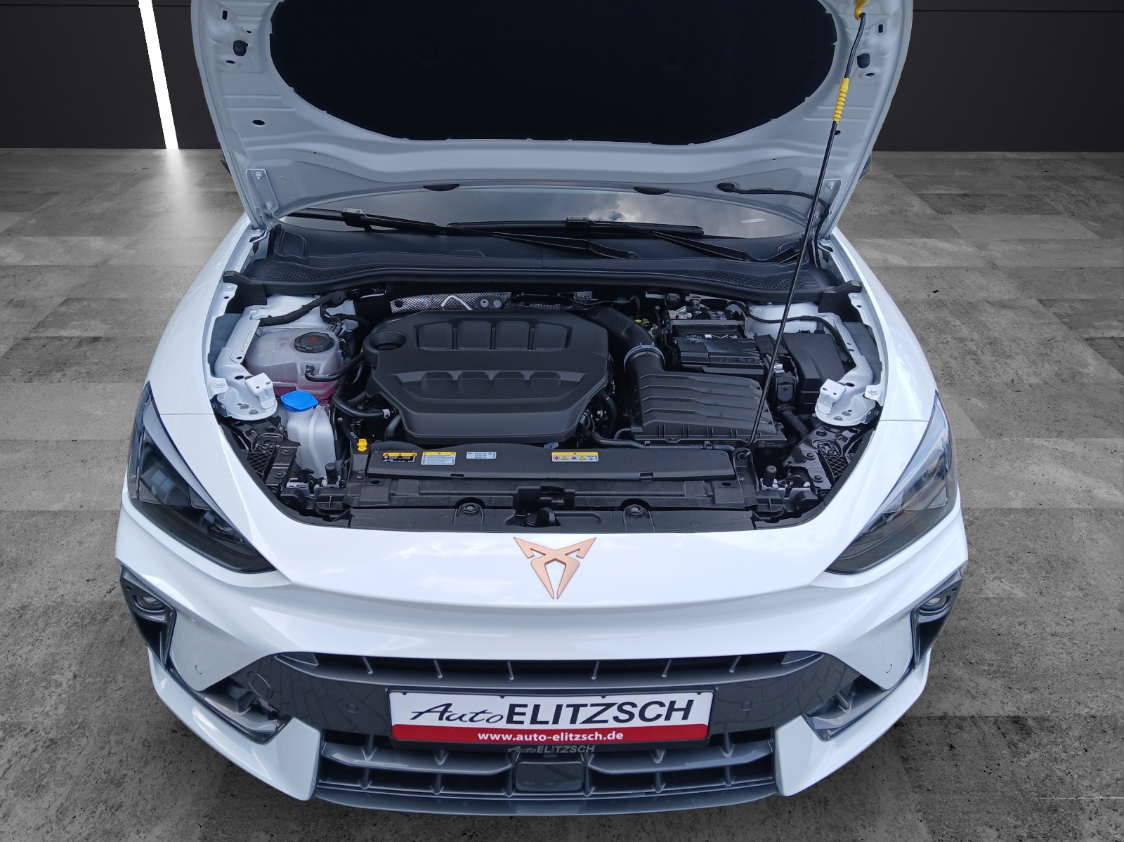 Fahrzeugabbildung CUPRA Leon Sportstourer VZ 2.0 TSI 4Drive AHK Matrix Sennh.