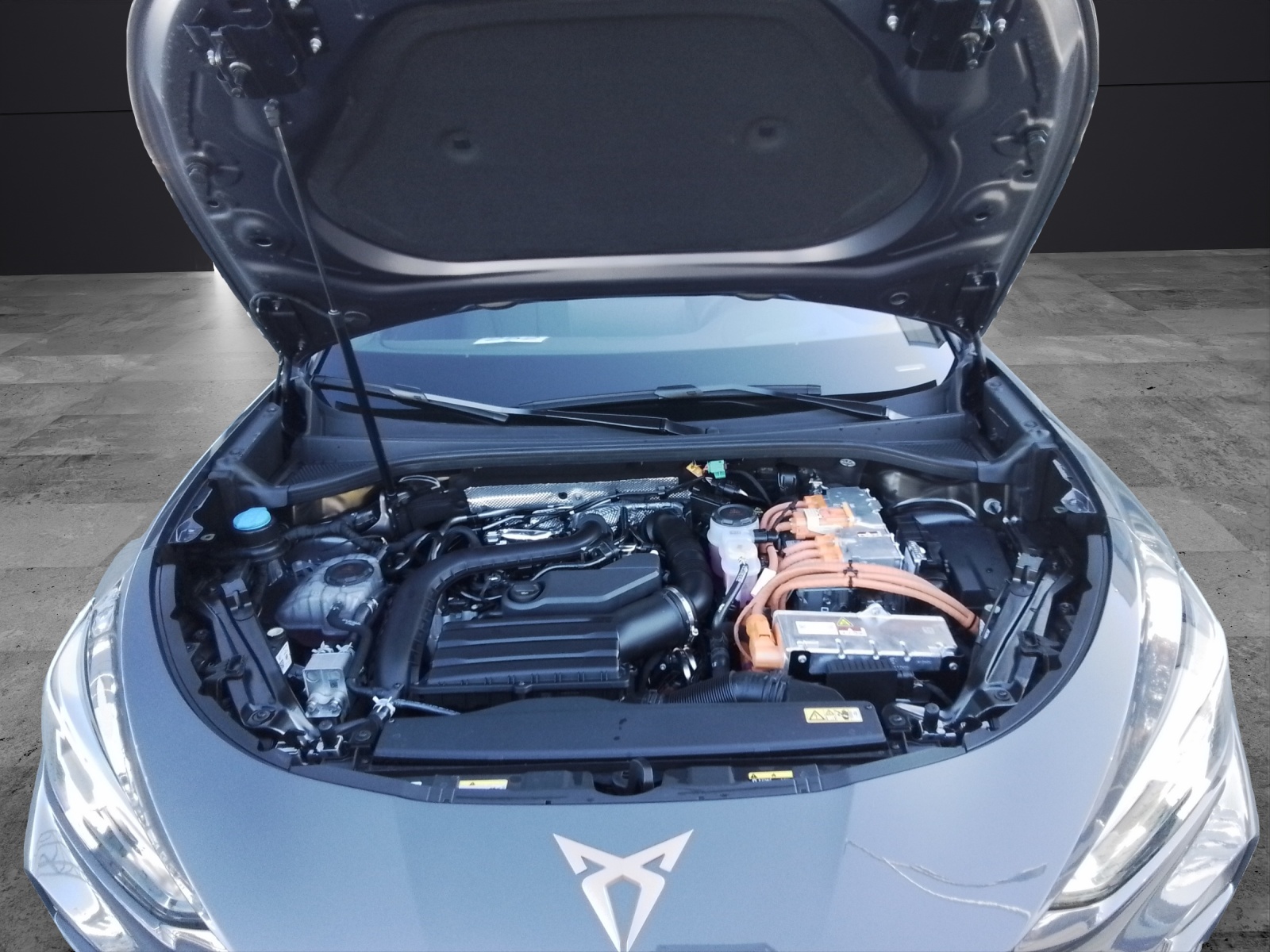 Fahrzeugabbildung CUPRA Terramar e-Hybrid 200 kW Matrix Pano Sennh.