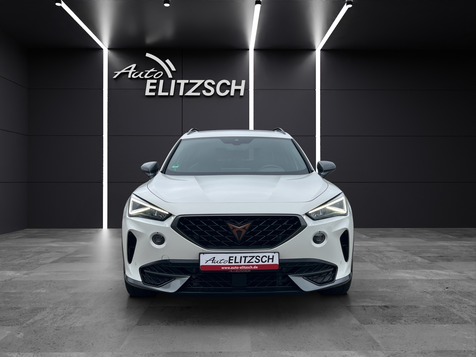 Fahrzeugabbildung CUPRA Formentor 4Drive TSI Navi Pano LED