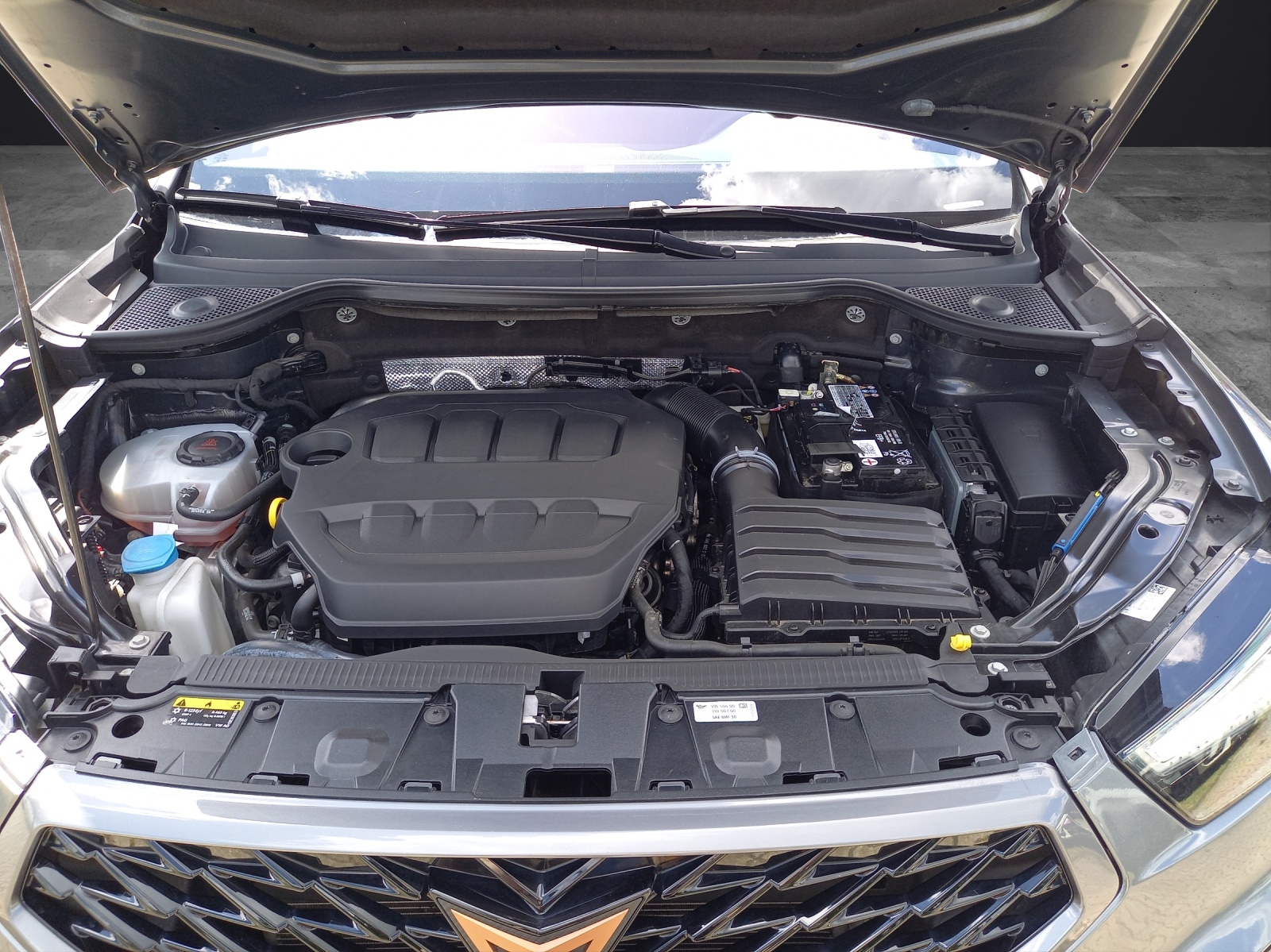 Fahrzeugabbildung CUPRA Ateca 4Drive 2.0 TSI DSG PANO BEATS ACC