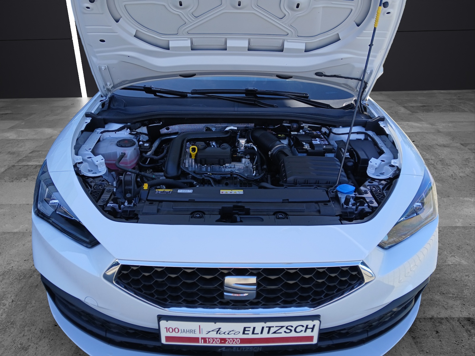 Fahrzeugabbildung SEAT Leon 1.0 TSI Style LED Climatronic GRA PDC SH LM