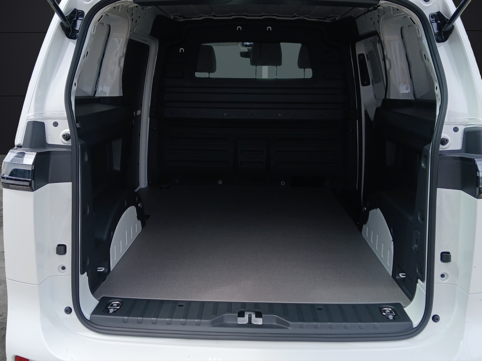 Fahrzeugabbildung Volkswagen ID. Buzz Cargo Pro AHK IQ Light PDC REAR VIEW