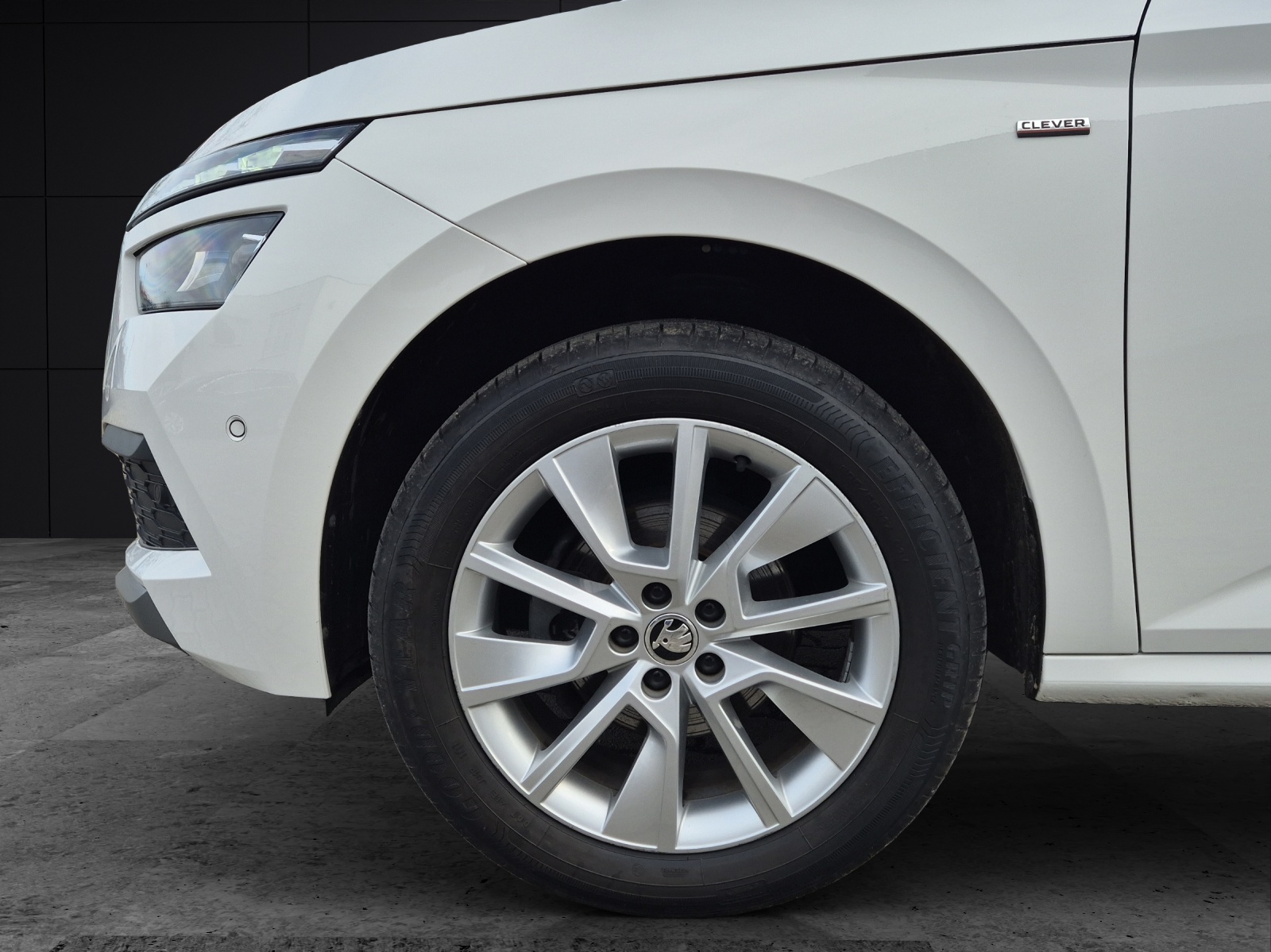 Fahrzeugabbildung SKODA Kamiq TSI Clever DSG LED ACC RFK SH 17