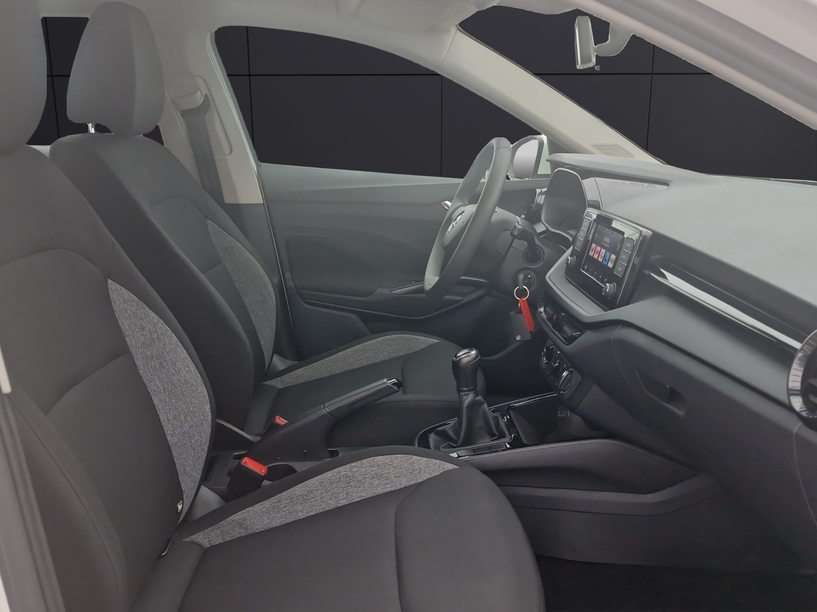 Fahrzeugabbildung SKODA Fabia Active 1.0 MPI DAB SH KLIMA