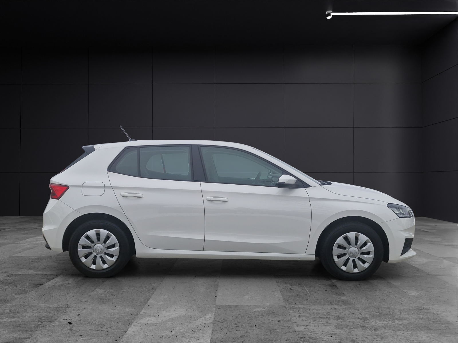 Fahrzeugabbildung SKODA Fabia Active 1.0 MPI DAB SH KLIMA