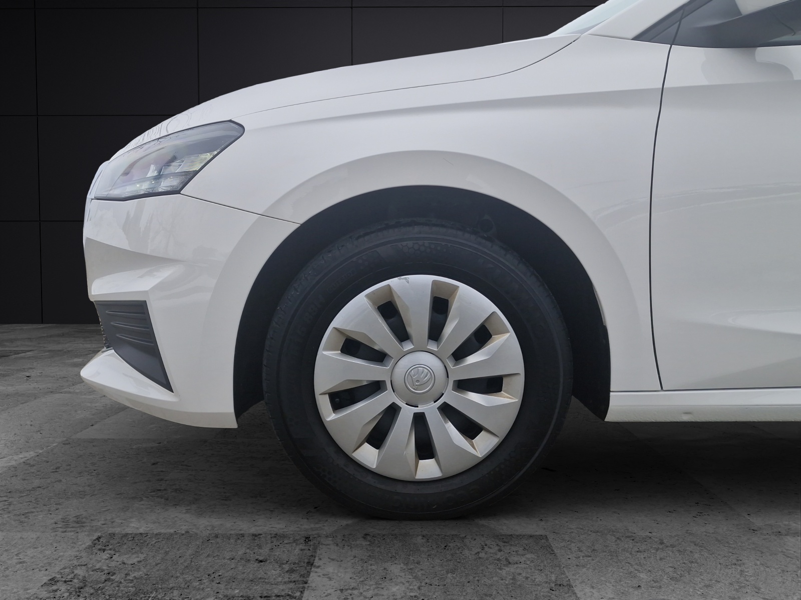 Fahrzeugabbildung SKODA Fabia Active 1.0 MPI DAB SH KLIMA