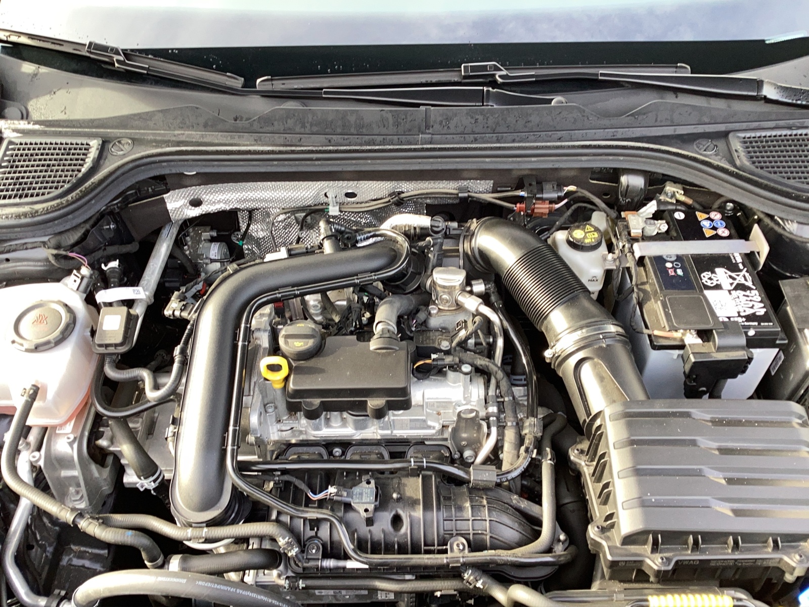 Fahrzeugabbildung Volkswagen Golf VIII TSI Move Climatronic AID PDC SH LM