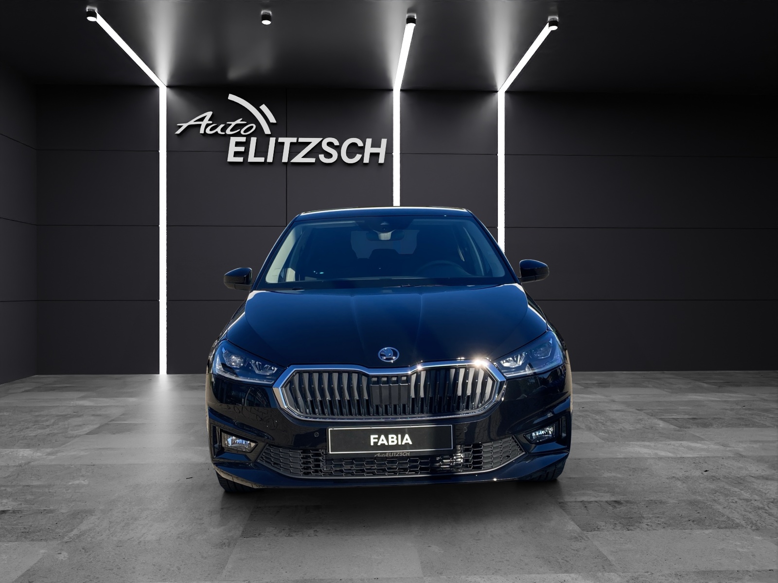 Fahrzeugabbildung SKODA Fabia Tour 1.0TSI DSG 85KW 7-Gang NAV, LED, ACC, WINTER PLUS
