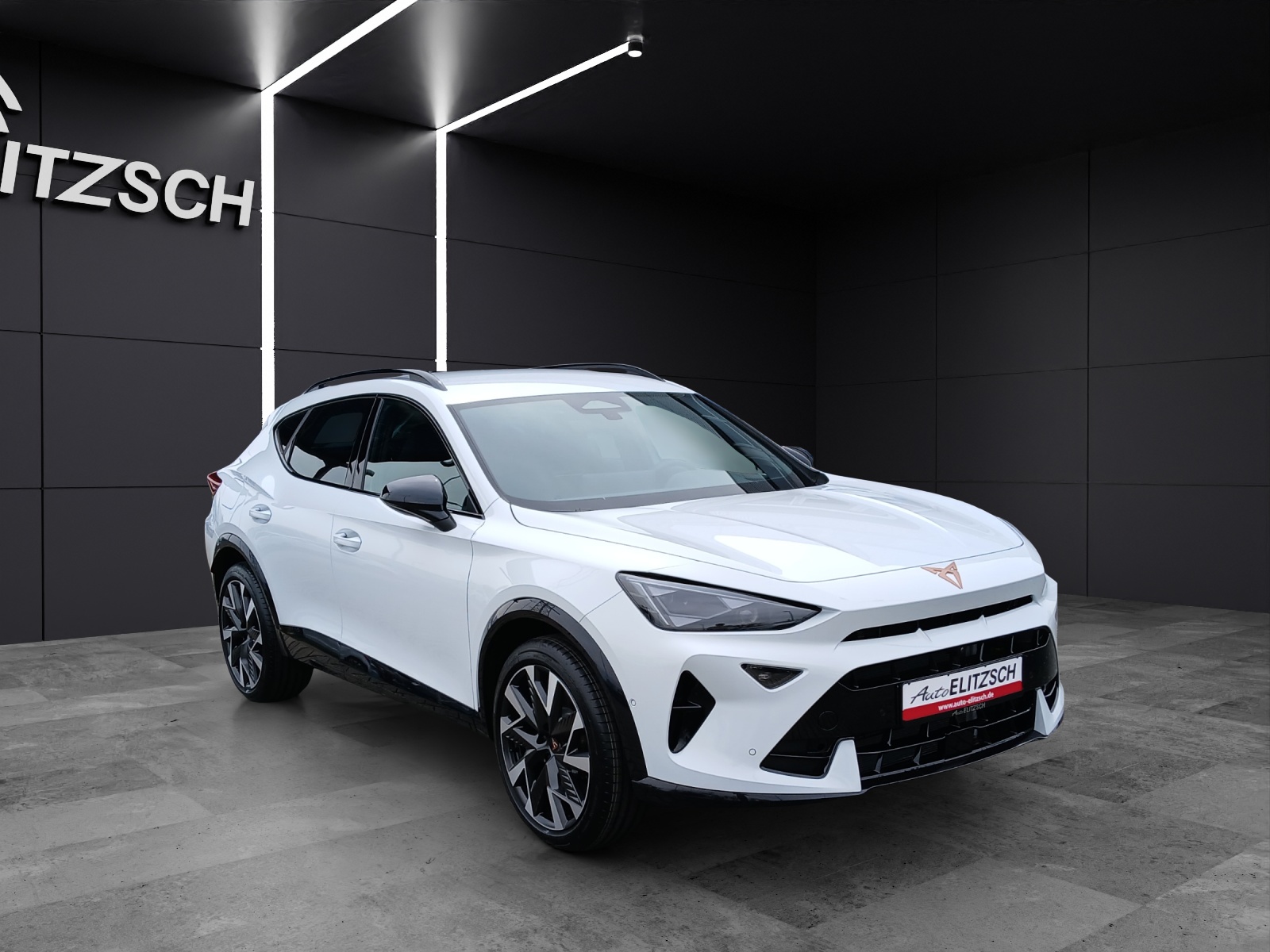 Fahrzeugabbildung CUPRA Formentor VZ e-Hybrid DSG Martrix AHK Navi ACC RFK SH 19