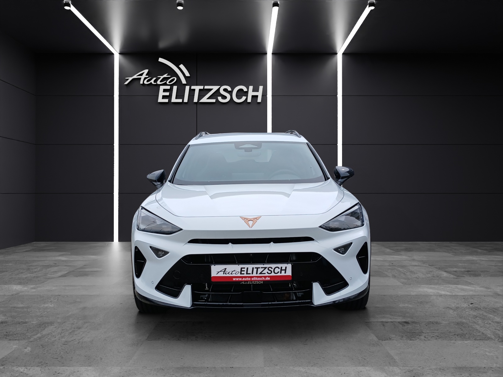 Fahrzeugabbildung CUPRA Formentor VZ e-Hybrid DSG Martrix AHK Navi ACC RFK SH 19