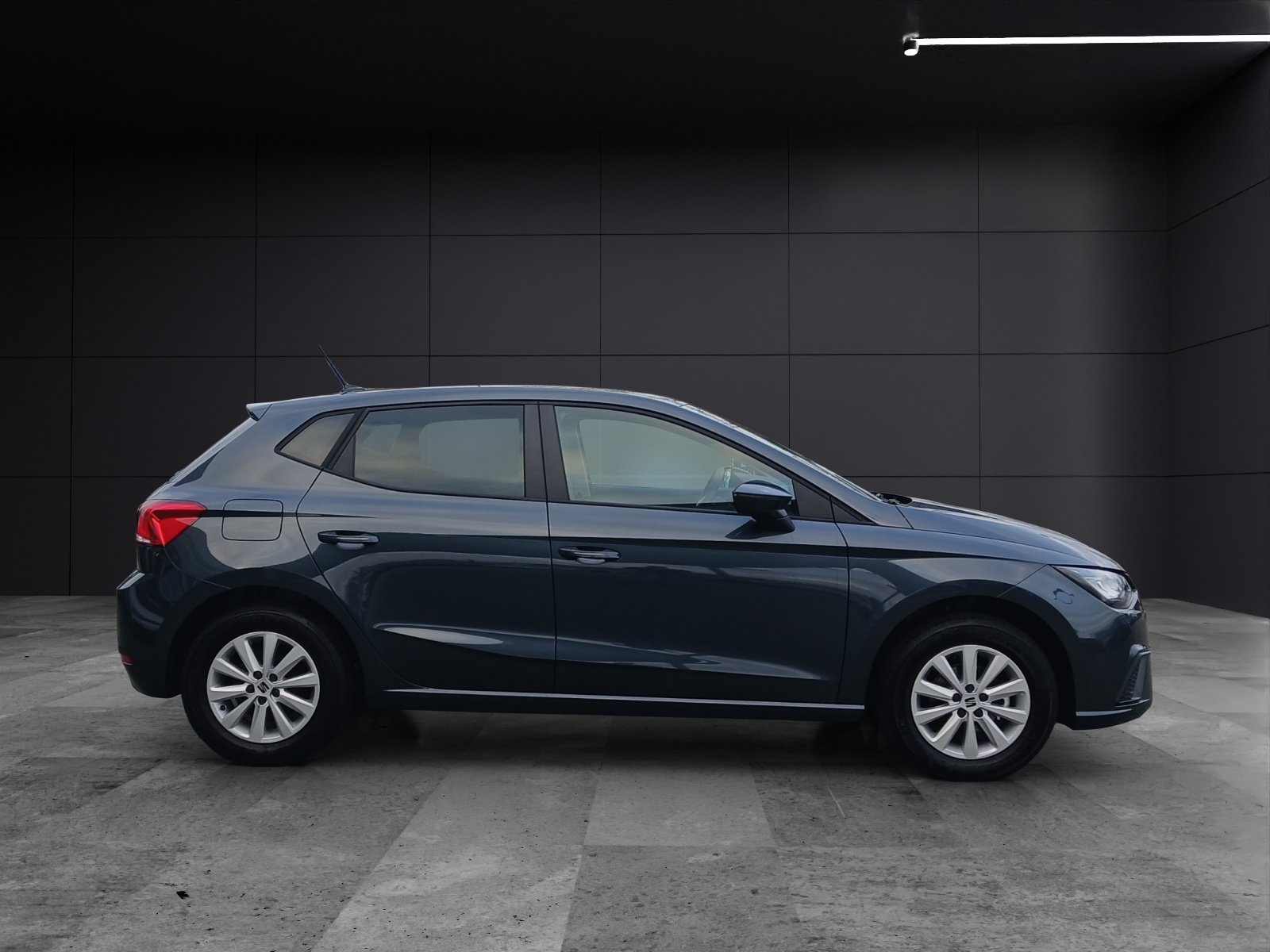 Fahrzeugabbildung SEAT Ibiza 1.0 TSI Road Edition Kamera