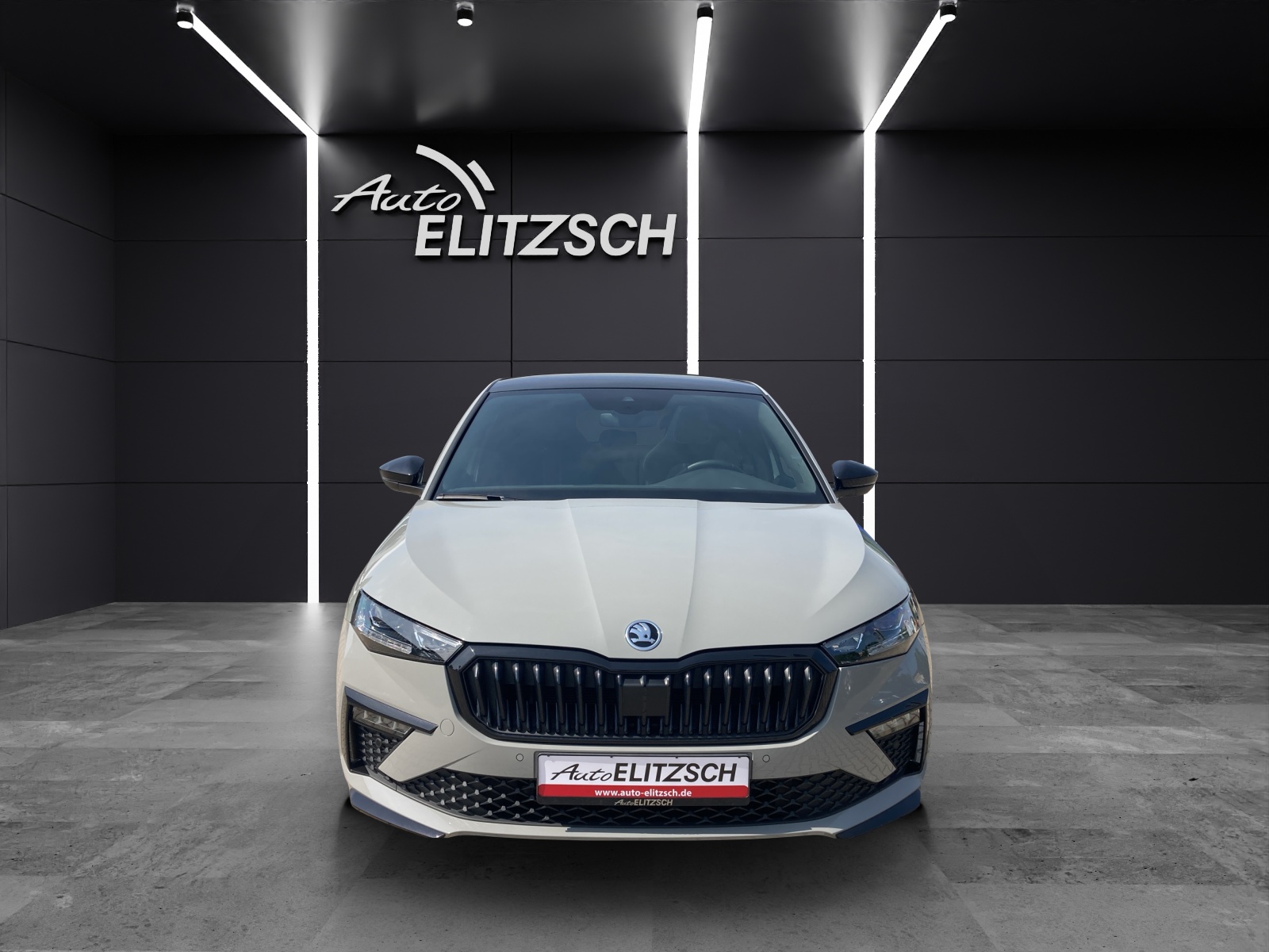 Fahrzeugabbildung SKODA Scala Monte Carlo Matrix Pano