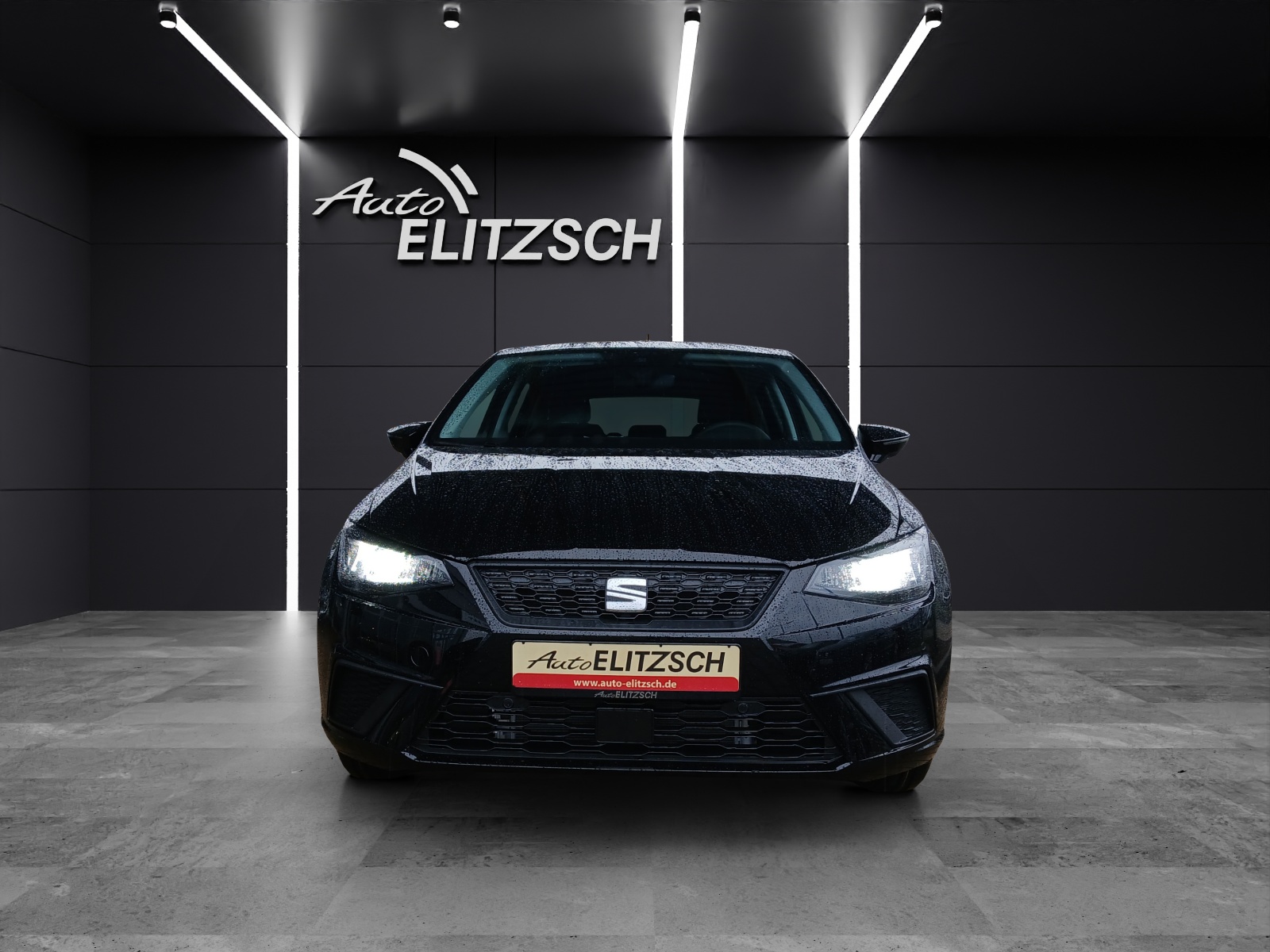 Fahrzeugabbildung SEAT Ibiza 1.0 TSI Style Edition DSG Kamera