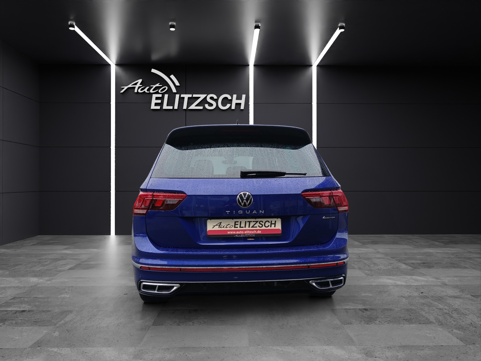 Fahrzeugabbildung Volkswagen Tiguan TDI R-Line DSG 4M STH Matrix AHK ACC RFK