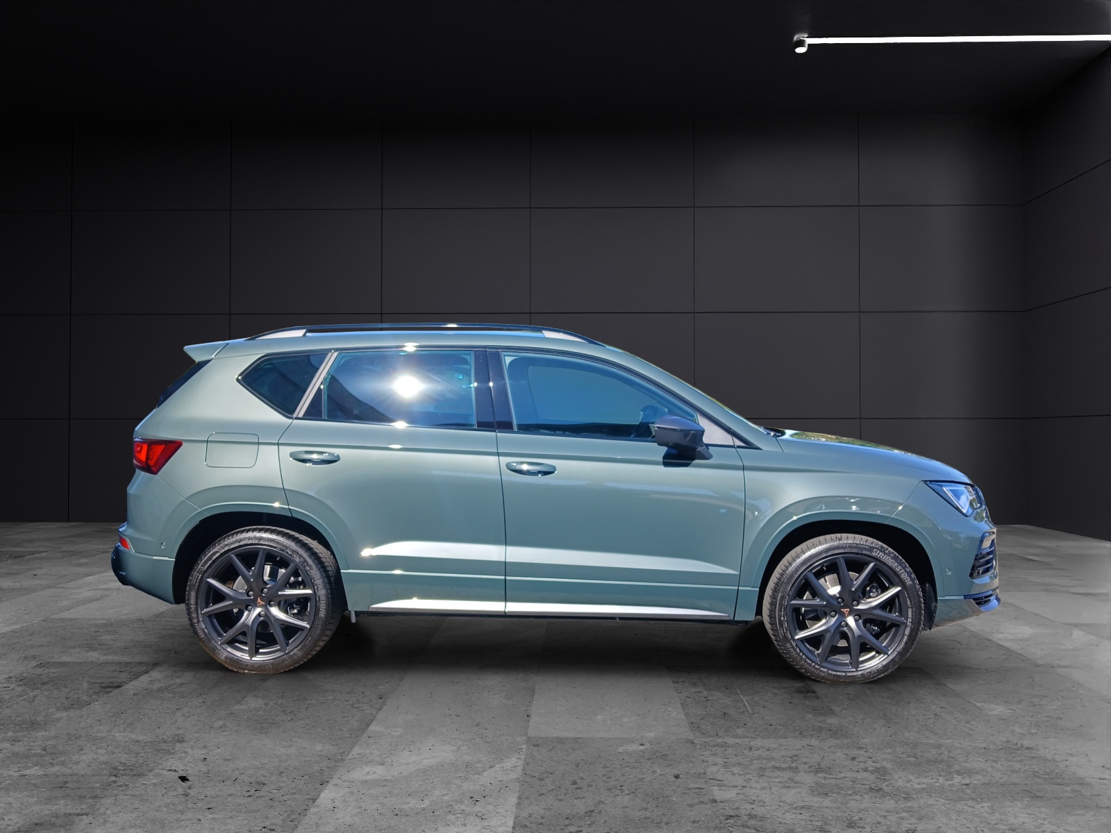 Fahrzeugabbildung CUPRA Ateca VZ 4Drive AHK Kamera