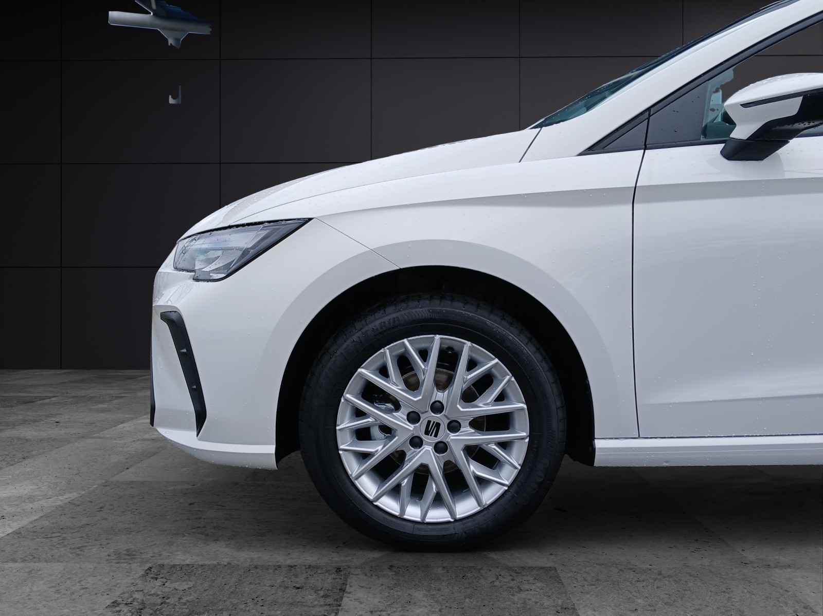 Fahrzeugabbildung SEAT Ibiza 1.0 TSI Style LED Winter-Paket