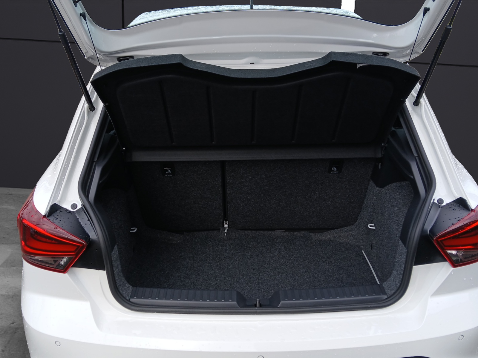 Fahrzeugabbildung SEAT Ibiza 1.0 TSI Style LED Winter-Paket