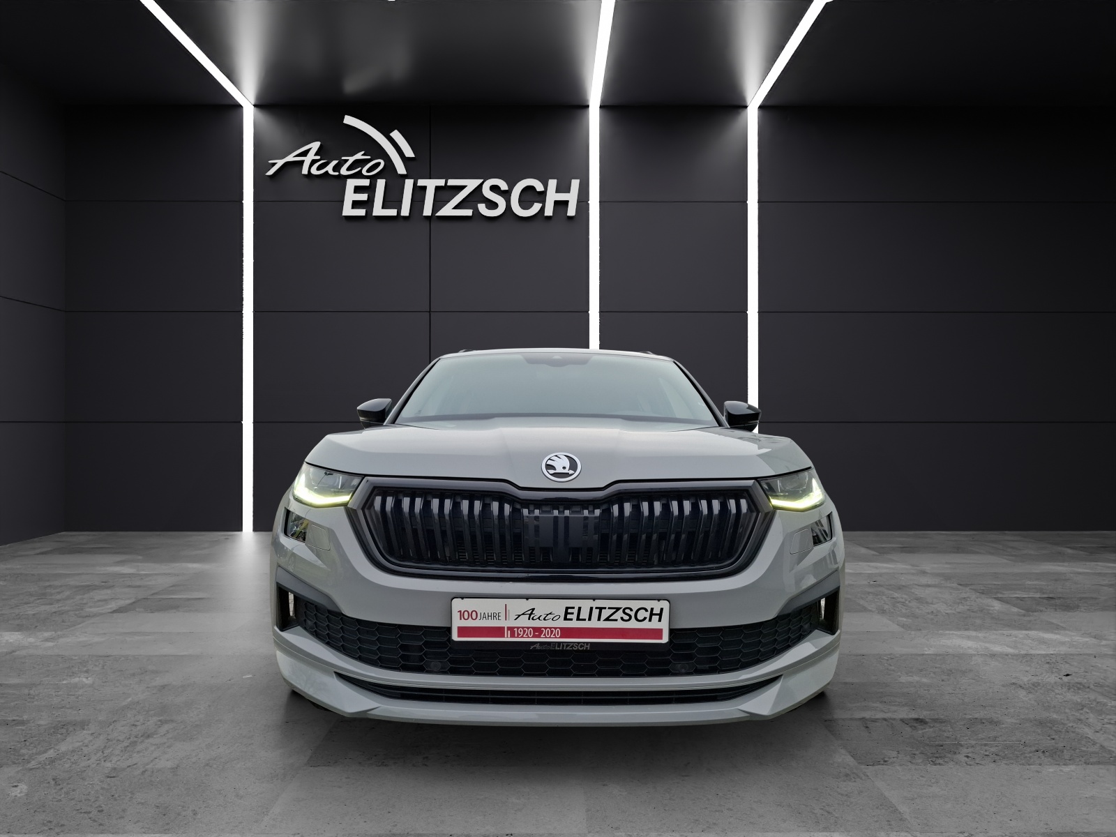 Fahrzeugabbildung SKODA Kodiaq TSI Sportline DSG Matrix Navi AID GRA PDC SH 19