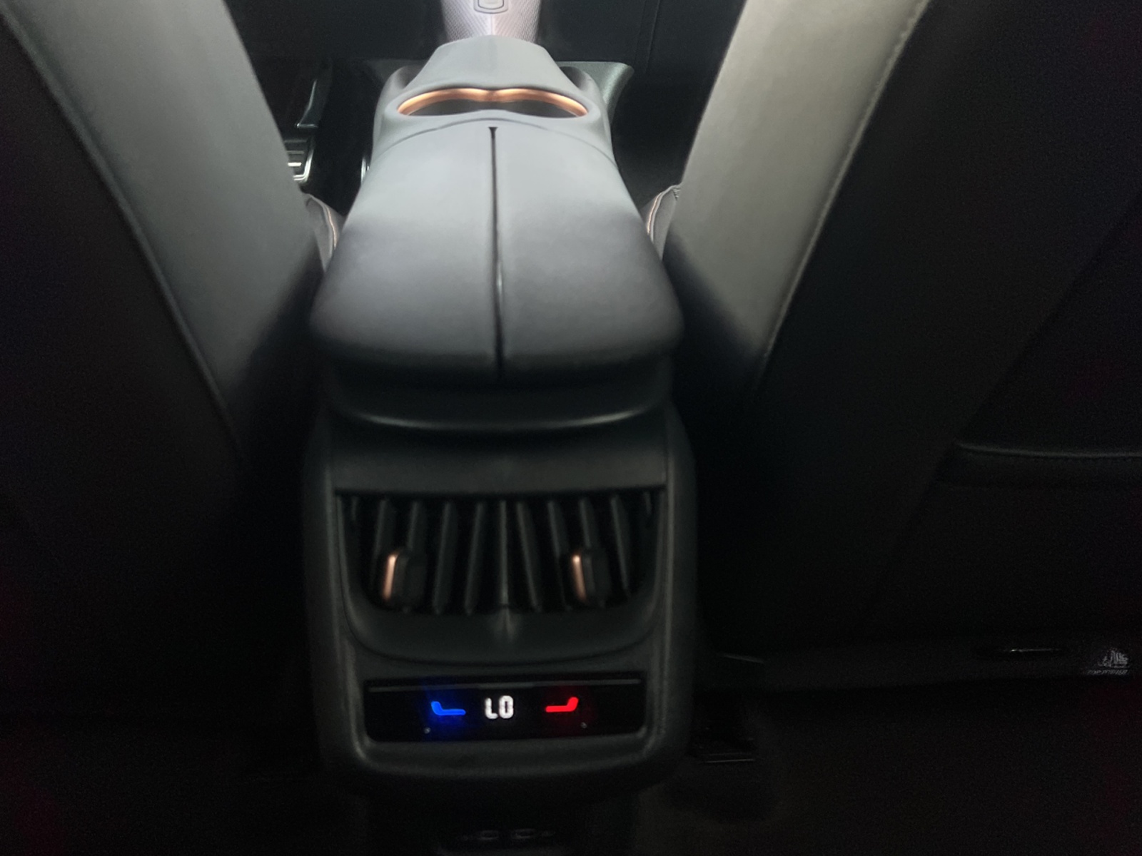 Fahrzeugabbildung CUPRA Tavascan Endurance LED Wäpu Navi VC ACC RFK SH 19