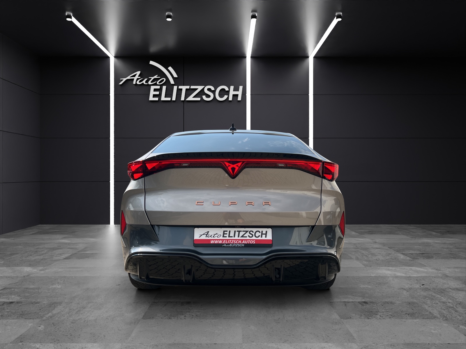 Fahrzeugabbildung CUPRA Tavascan Endurance LED Wäpu Navi VC ACC RFK SH 19