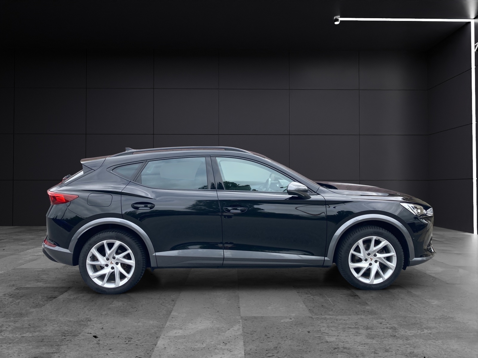 Fahrzeugabbildung CUPRA Formentor e-Hybrid DSG LED AHK ACC RFK SH 18
