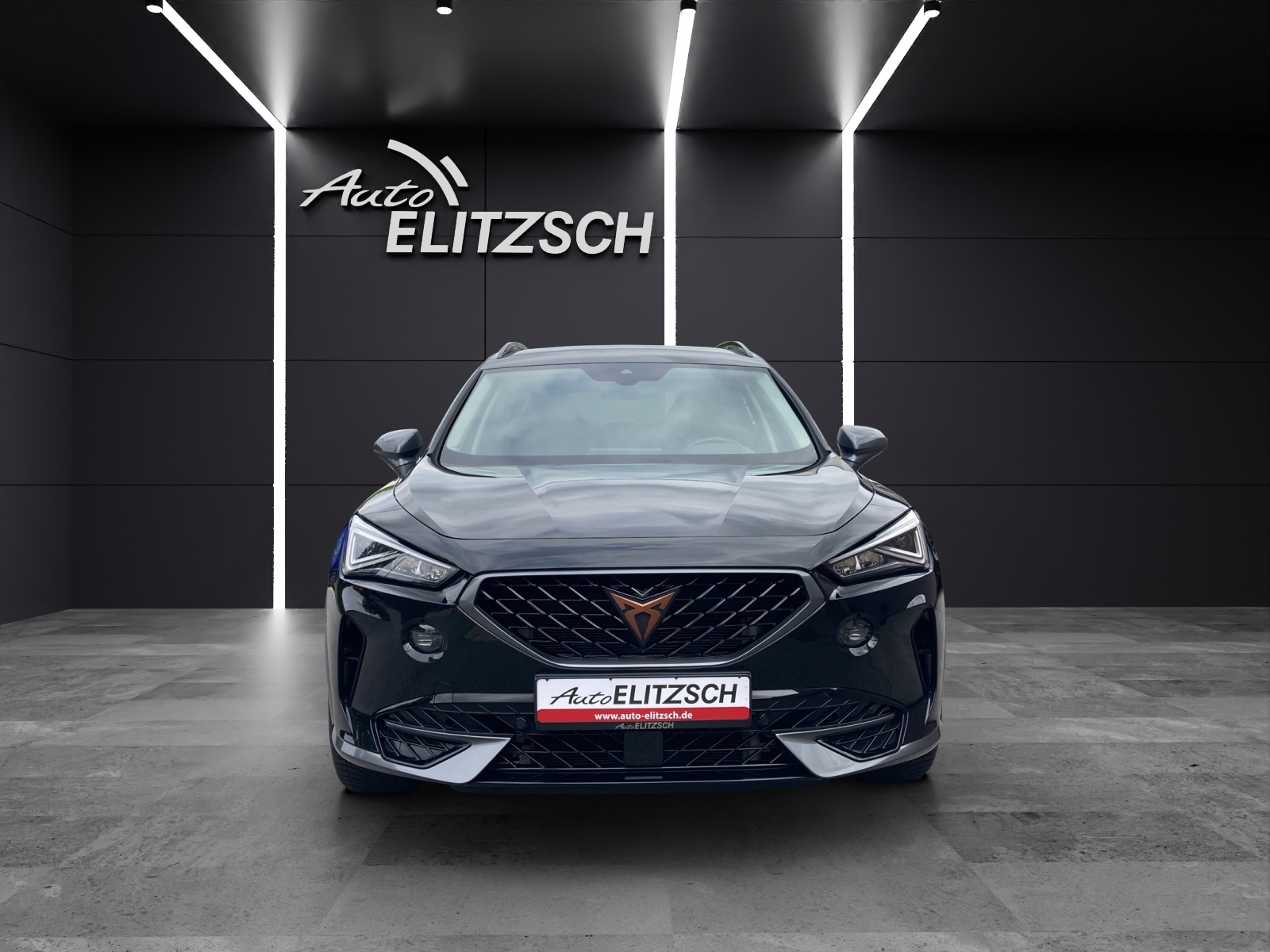 Fahrzeugabbildung CUPRA Formentor e-Hybrid DSG LED AHK ACC RFK SH 18