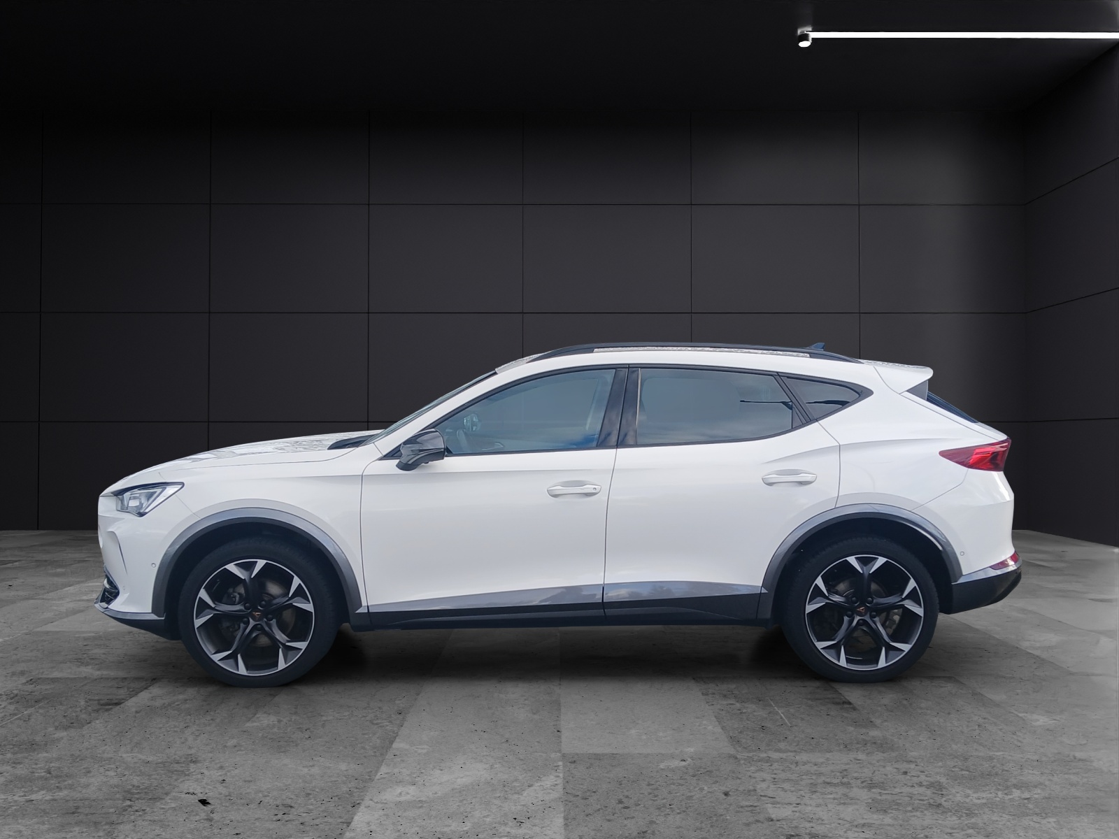 Fahrzeugabbildung CUPRA Formentor TSI DSG 4Drive LED Navi AID beats ACC RFK SH 19