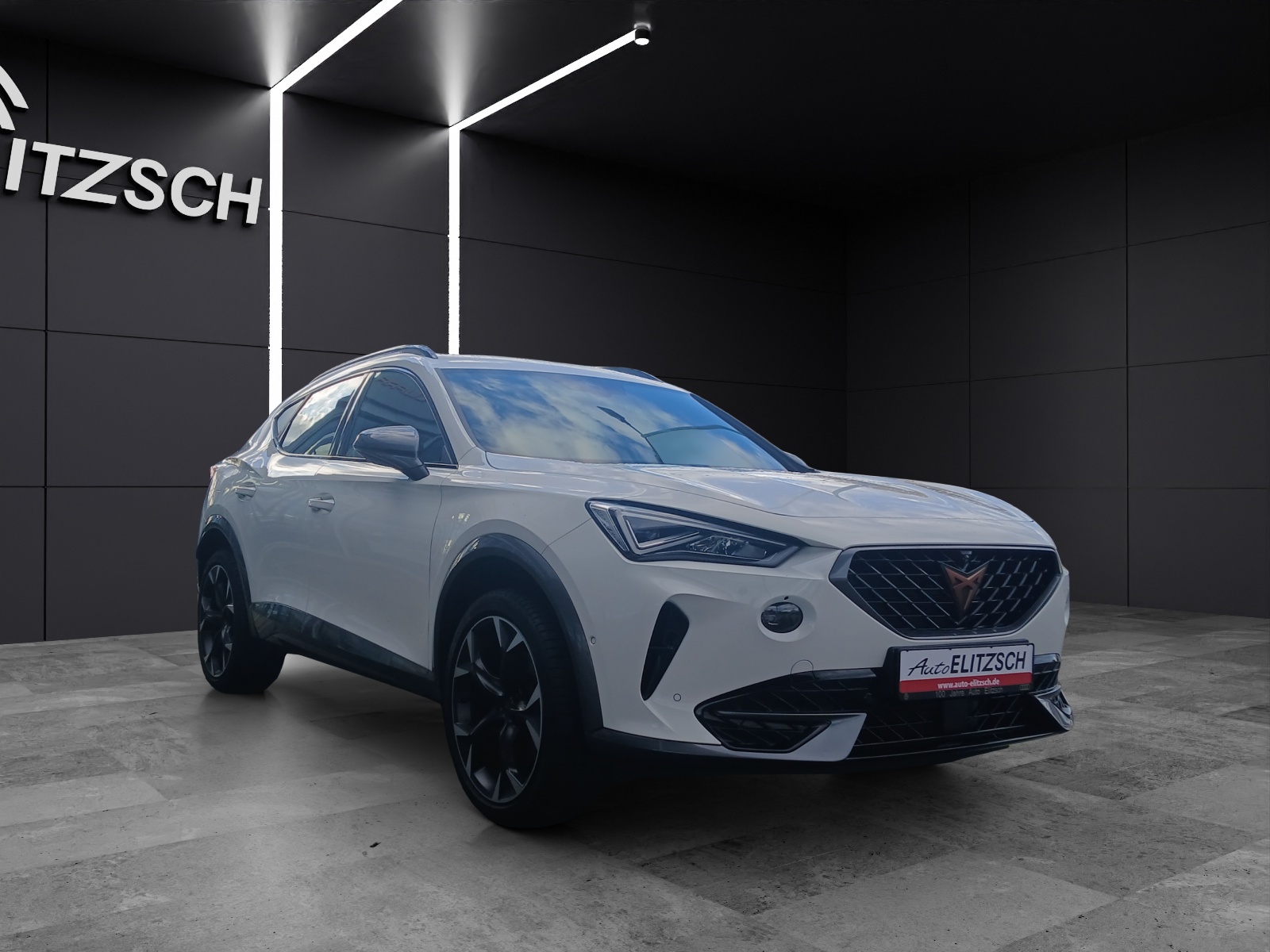 Fahrzeugabbildung CUPRA Formentor TSI DSG 4Drive LED Navi AID beats ACC RFK SH 19