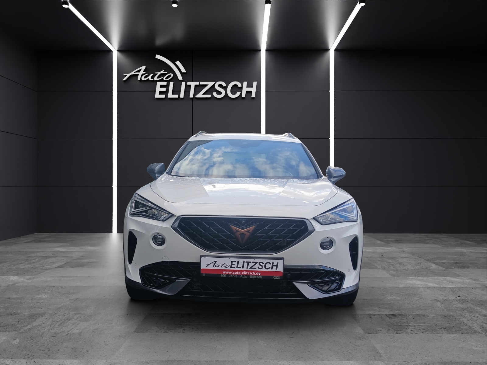 Fahrzeugabbildung CUPRA Formentor TSI DSG 4Drive LED Navi AID beats ACC RFK SH 19