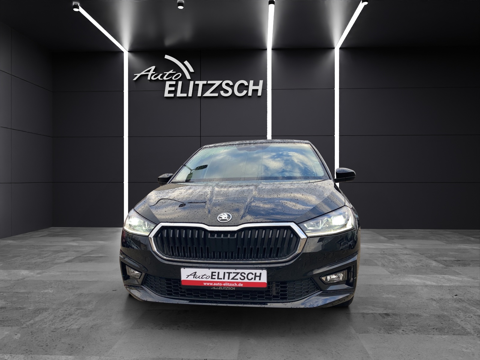 Fahrzeugabbildung SKODA Fabia TSI Style DSG LED ACC RFK AID NAVI SHZ LM