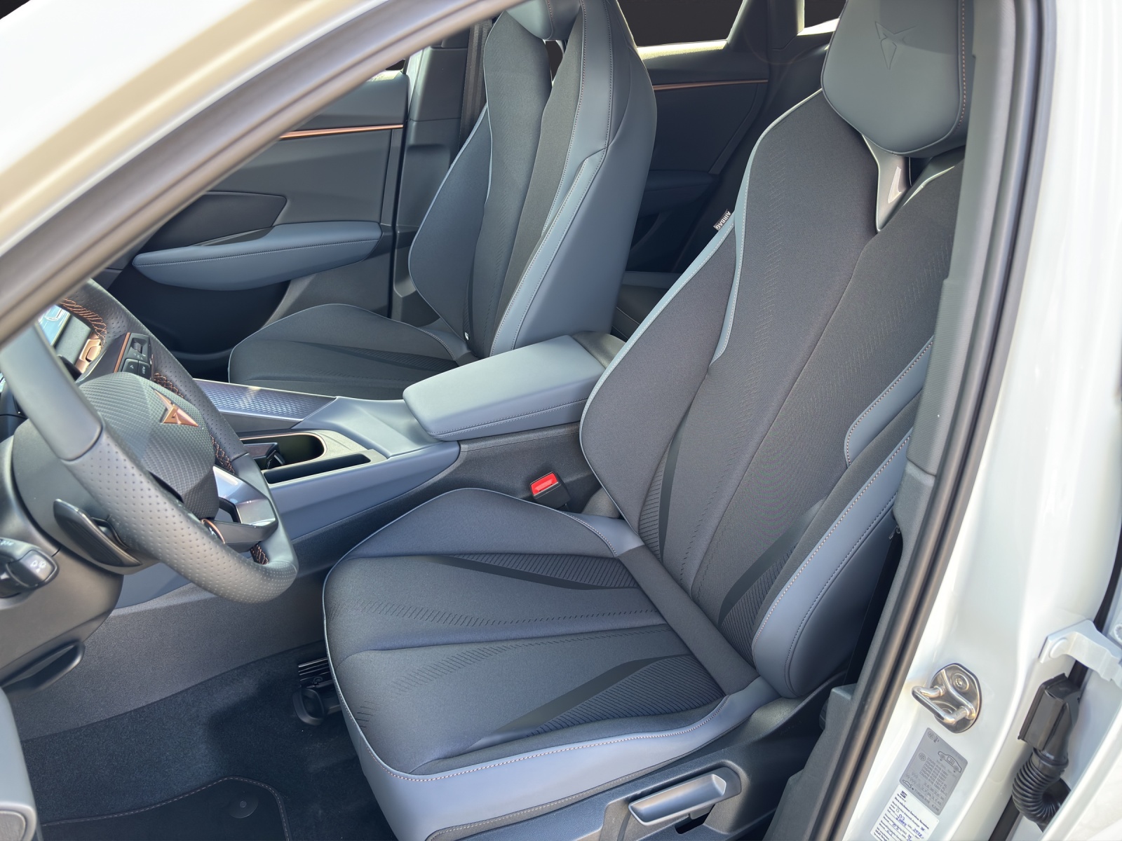 Fahrzeugabbildung CUPRA Terramar 2.0 TSI DSG 4x4 AHZ Matrix LED Pano Keyless SH