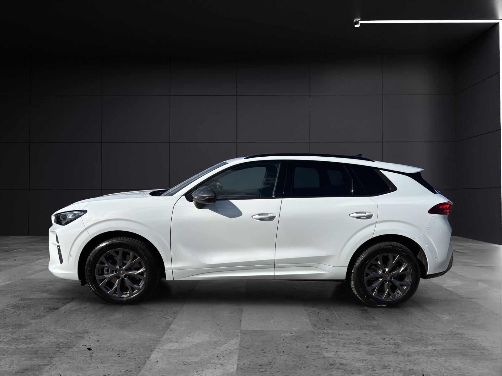 Fahrzeugabbildung CUPRA Terramar 2.0 TSI DSG 4x4 AHZ Matrix LED Pano Keyless SH