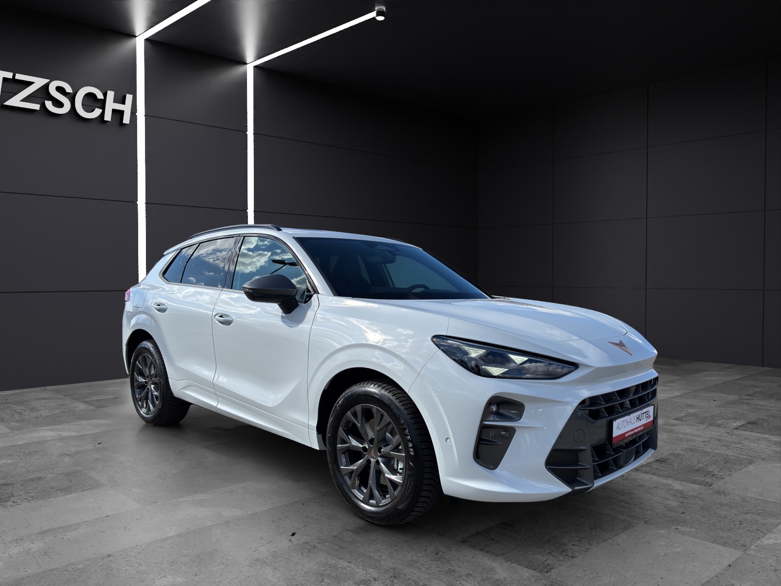 Fahrzeugabbildung CUPRA Terramar 2.0 TSI DSG 4x4 AHZ Matrix LED Pano Keyless SH