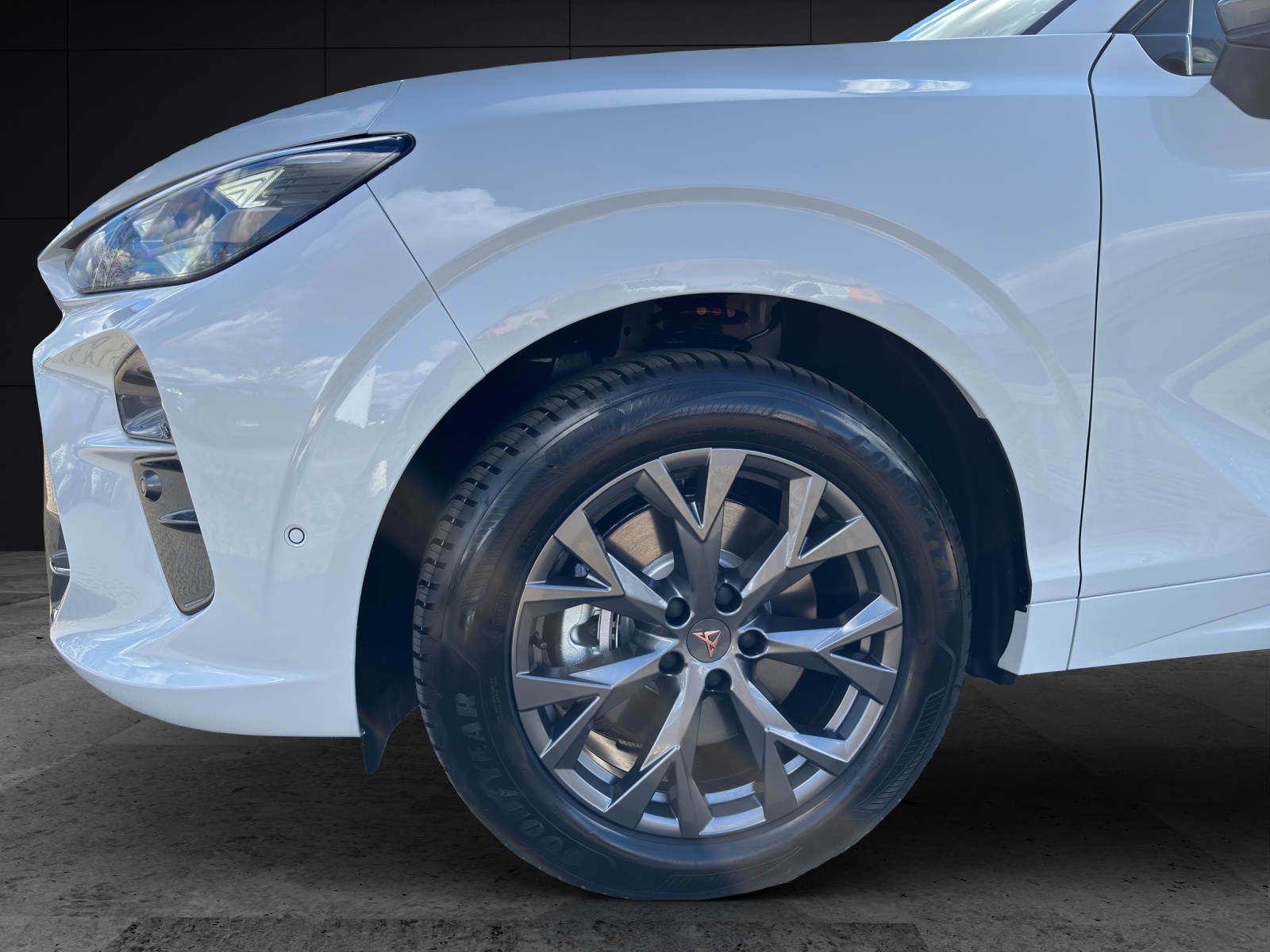 Fahrzeugabbildung CUPRA Terramar 2.0 TSI DSG 4x4 AHZ Matrix LED Pano Keyless SH