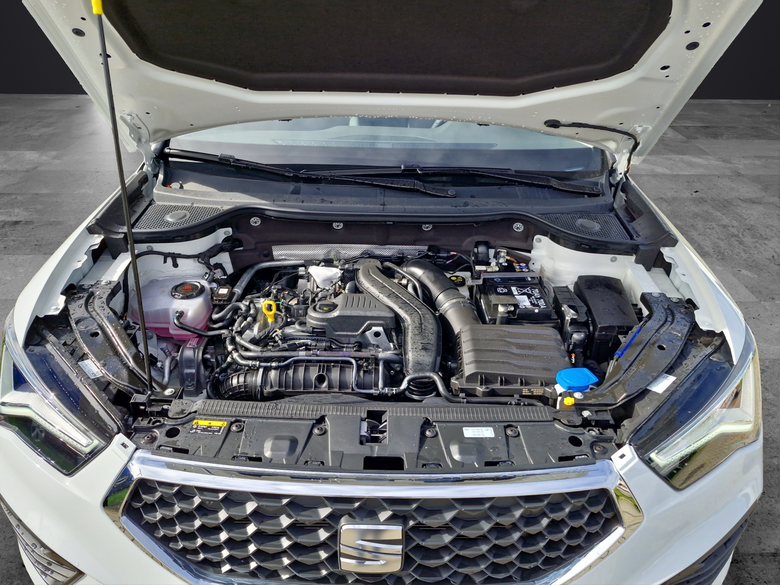 Fahrzeugabbildung SEAT Ateca Style Edition 1.5 TSI DSG ACC LED KAMERA