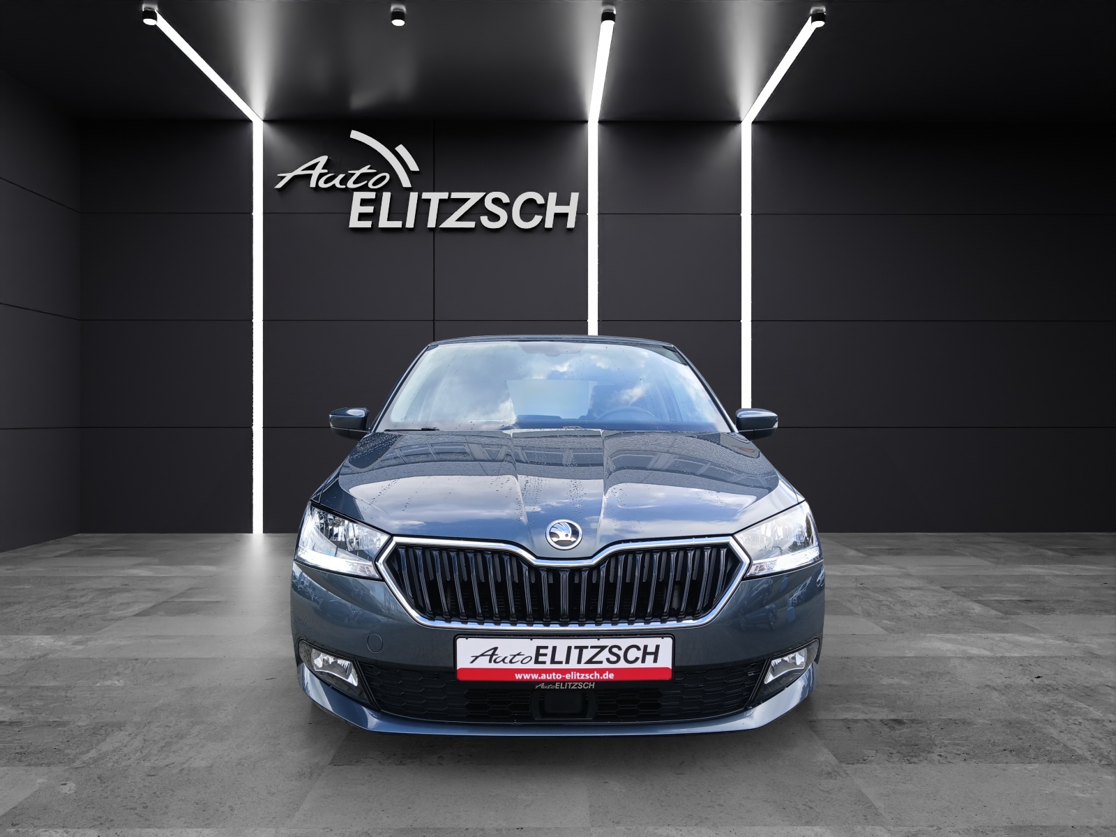 Fahrzeugabbildung SKODA Fabia TSI Drive-125 Climatronic GRA PDC SH LM