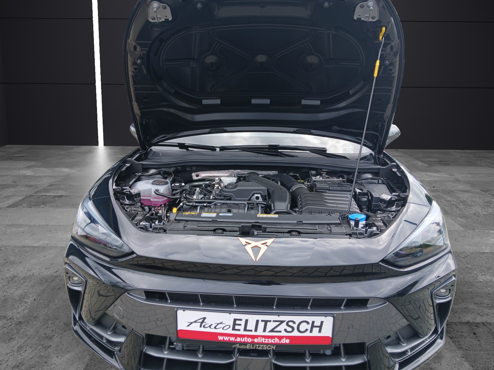Fahrzeugabbildung CUPRA Leon Sportstourer 1.5 eTSI AHK Matrix