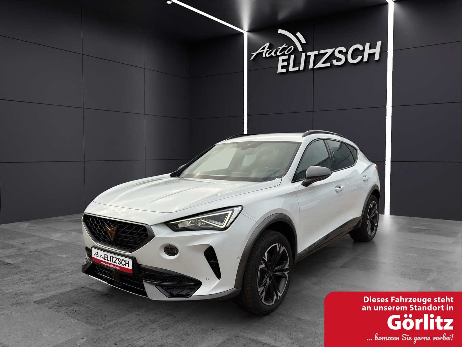CUPRA Formentor TSI DSG LED ACC AHK SHZ PDC NAVI DAB 18