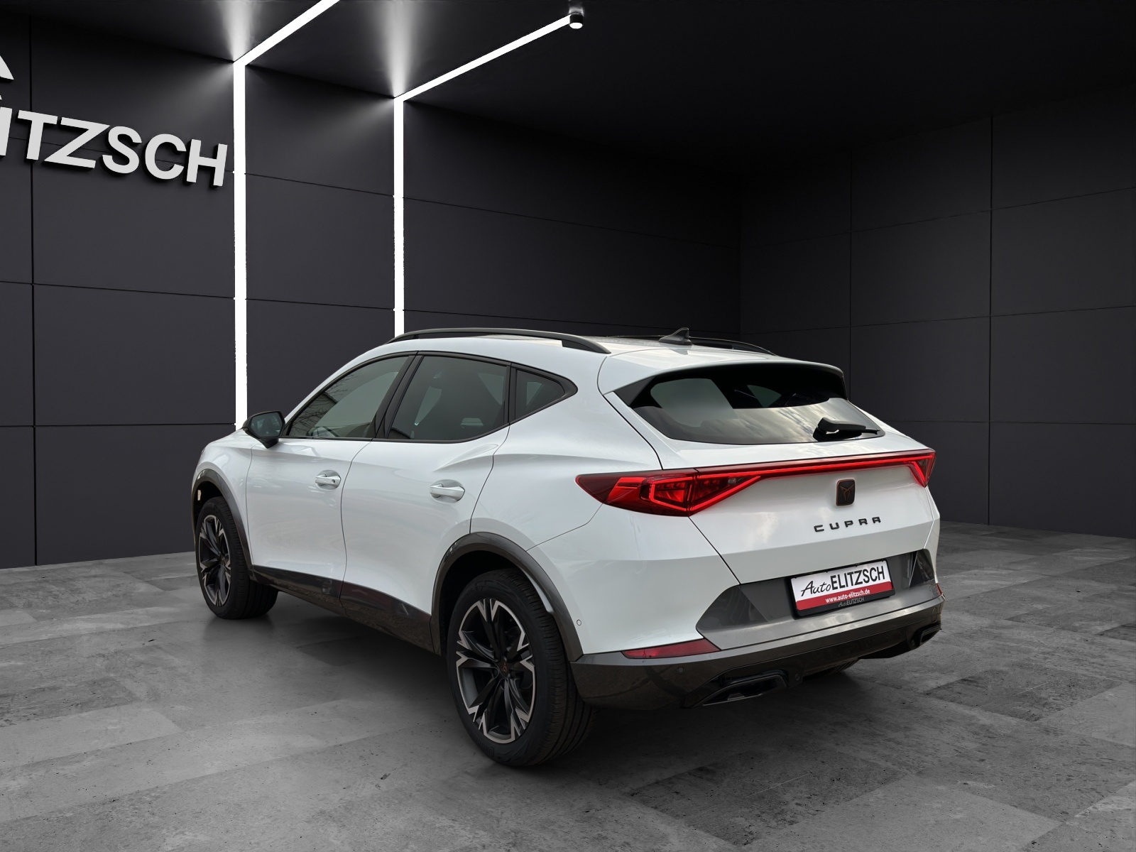 Fahrzeugabbildung CUPRA Formentor TSI DSG LED ACC AHK SHZ PDC NAVI DAB 18