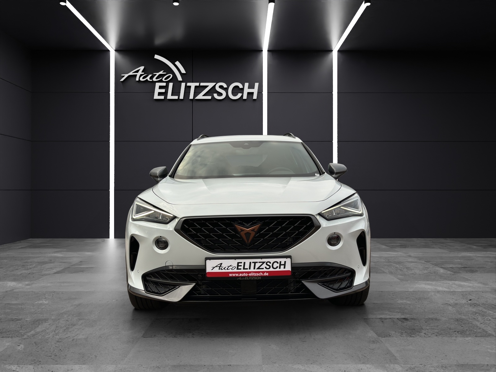 Fahrzeugabbildung CUPRA Formentor TSI DSG LED ACC AHK SHZ PDC NAVI DAB 18