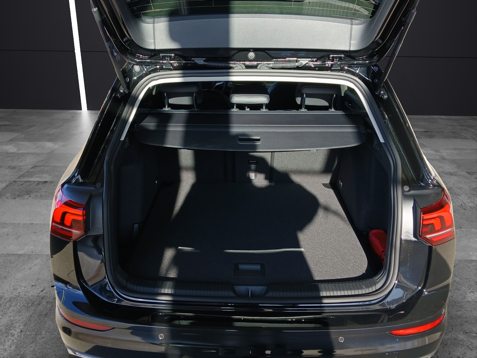 Fahrzeugabbildung Volkswagen Golf VIII Variant Goal TDI AHZV ACC Ready2Discover RearView