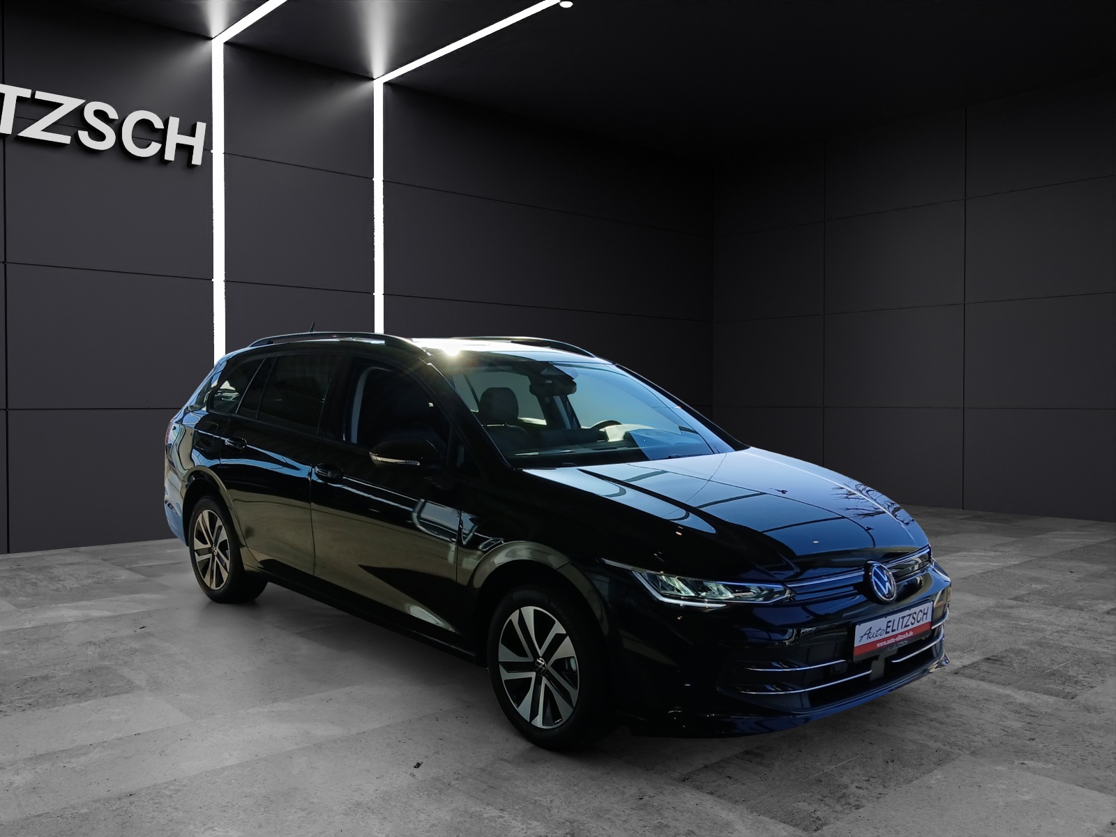 Fahrzeugabbildung Volkswagen Golf VIII Variant Goal TDI AHZV ACC Ready2Discover RearView