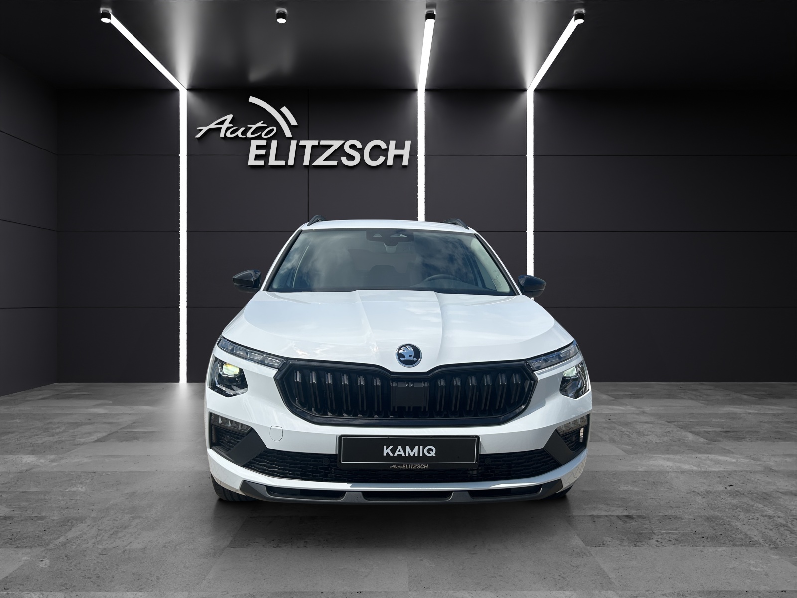Fahrzeugabbildung SKODA Kamiq 1.0 DSG Selection AHK MATRIX