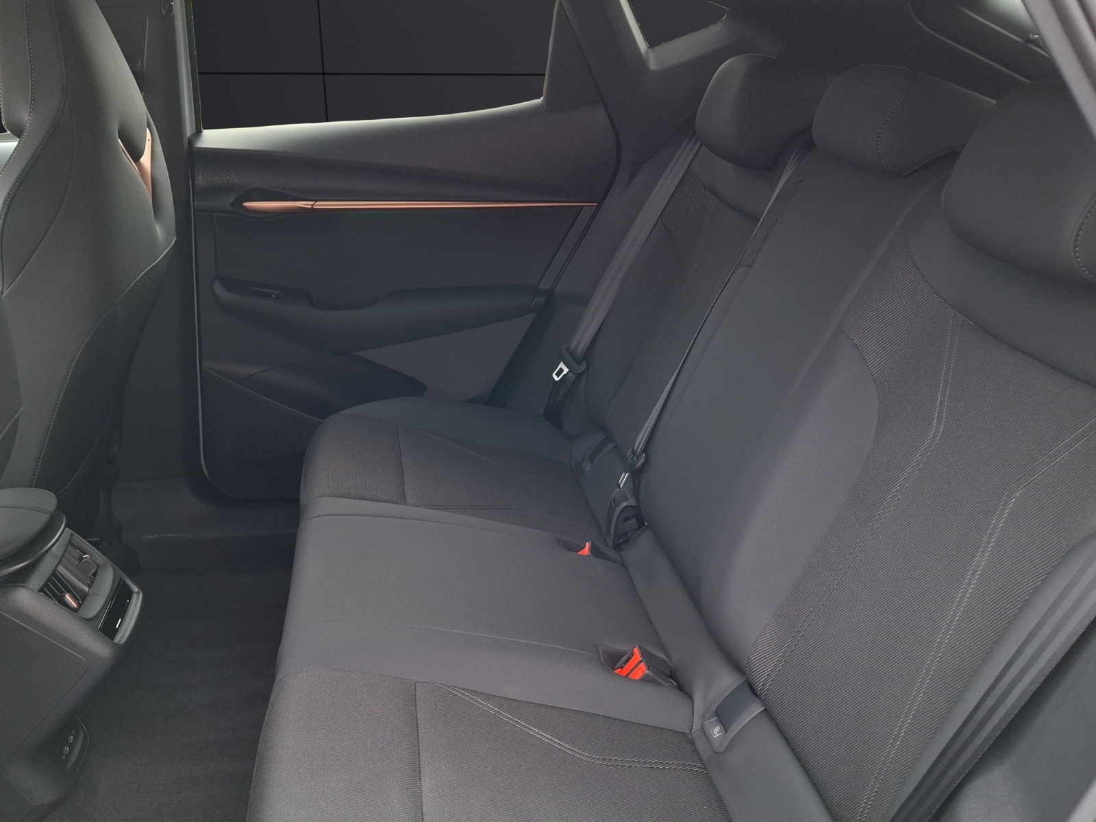 Fahrzeugabbildung CUPRA Tavascan Endurance LED WäPu Navi ACC SHZ RFK LHZ 19