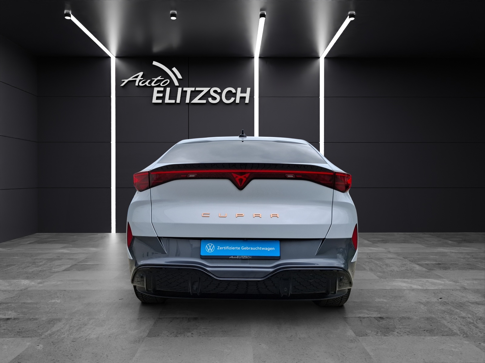 Fahrzeugabbildung CUPRA Tavascan Endurance LED WäPu Navi ACC SHZ RFK LHZ 19