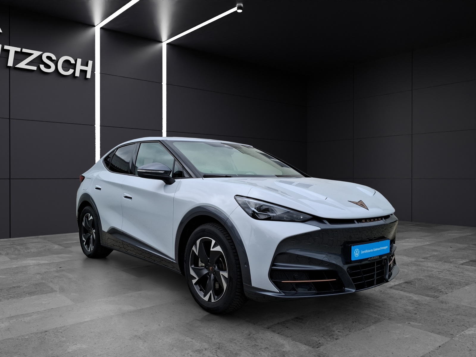 Fahrzeugabbildung CUPRA Tavascan Endurance LED WäPu Navi ACC SHZ RFK LHZ 19
