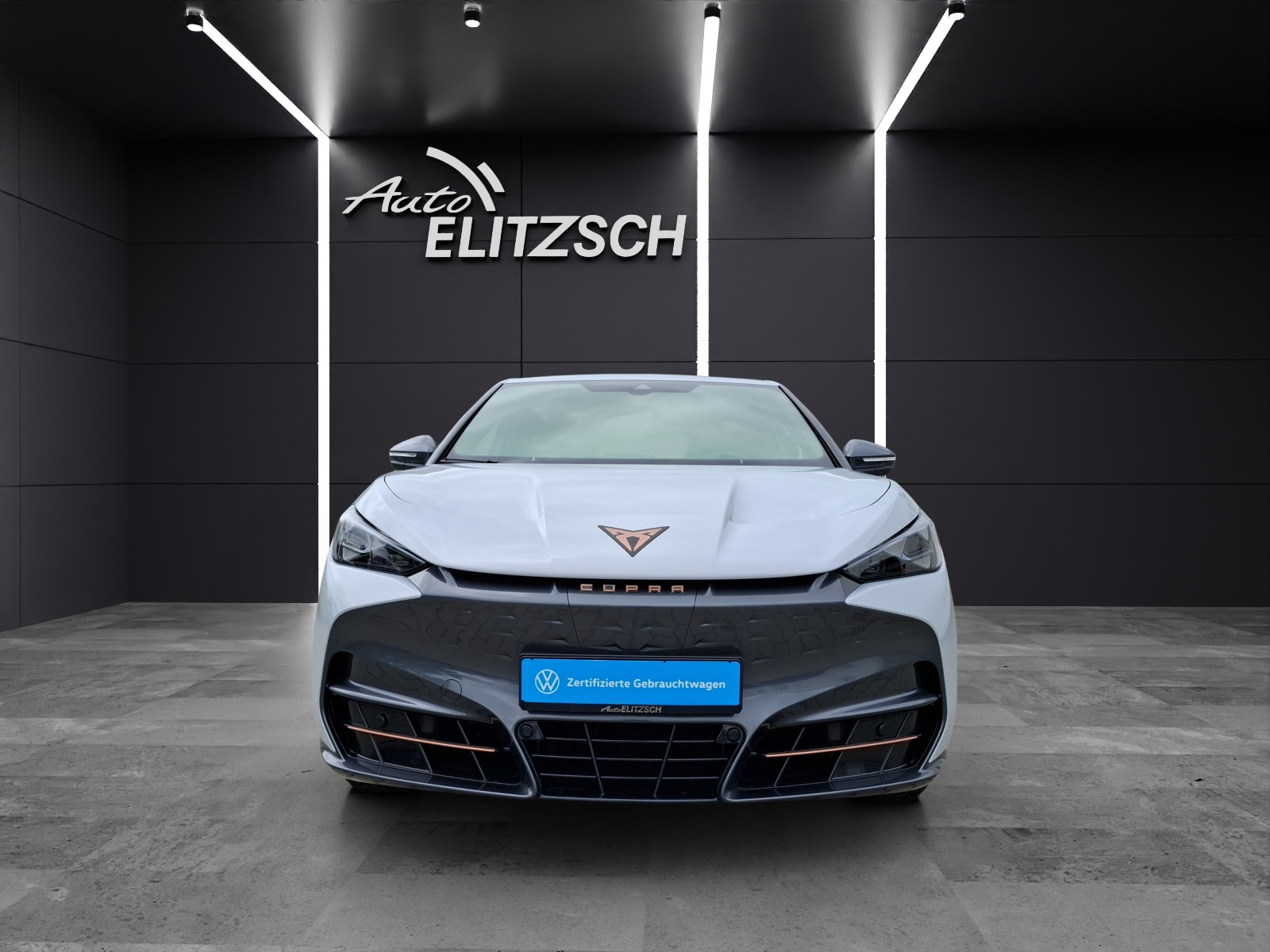 Fahrzeugabbildung CUPRA Tavascan Endurance LED WäPu Navi ACC SHZ RFK LHZ 19